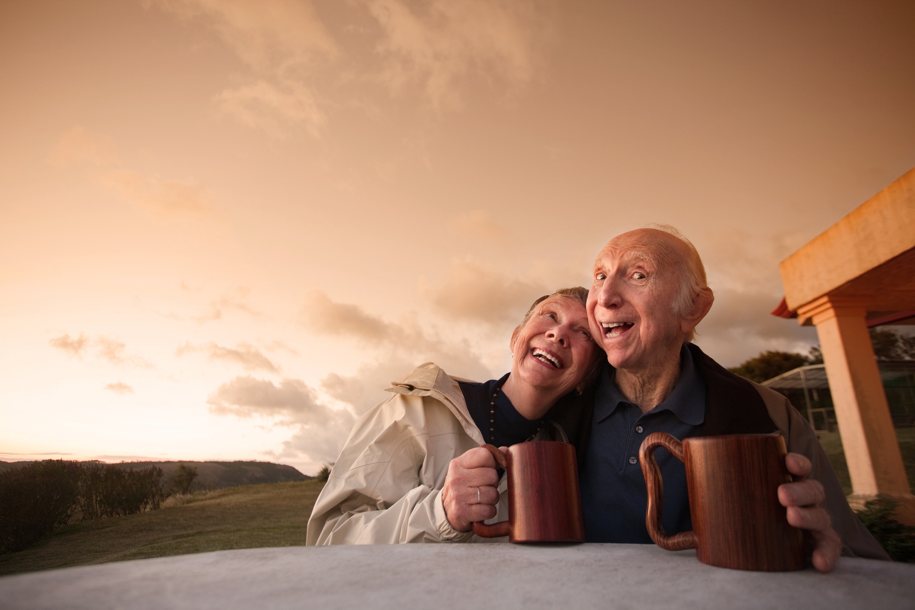 Online Memoir Writing Program